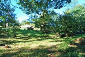 Picture of listing #330858824. Land for sale in Caillac