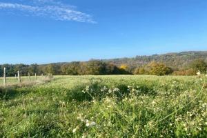 Picture of listing #330875434. Land for sale in Chalvignac