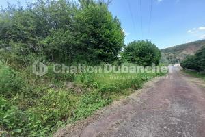 Picture of listing #330897817. Land for sale in Villerest