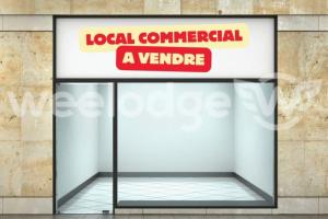 Photo de l'annonce nº 330903198. Commerce à vendre sur Saint-Martin-de-Crau