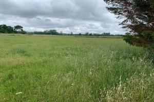 Picture of listing #330906858. Land for sale in Auterive