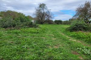 Picture of listing #330909153. Land for sale in Manduel