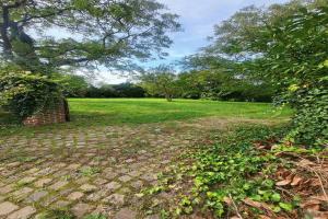 Picture of listing #330909969. Land for sale in Lachelle