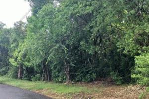 Picture of listing #330916729. Land for sale in Le Gosier