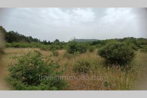 Picture of listing #330927264. Land for sale in Garéoult