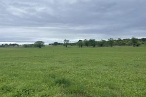 Picture of listing #330940577. Land for sale in Pertuis