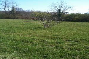 Picture of listing #330941289. Land for sale in Tesson