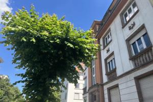 Picture of listing #330944003. Appartment for sale in Strasbourg