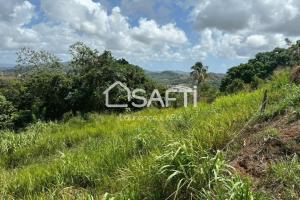 Picture of listing #330949846. Land for sale in Rivière-Salée