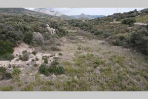 Picture of listing #330972286. Land for sale in Lesquerde