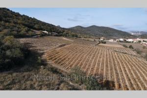 Picture of listing #330972350. Land for sale in Lansac