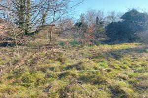 Picture of listing #330977122. Land for sale in Francheleins