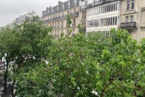 Picture of listing #330980913. Appartment for sale in Paris