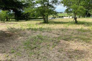Picture of listing #330998765. Land for sale in Le Fouilloux
