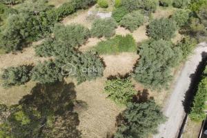 Picture of listing #331003424. Land for sale in Alès