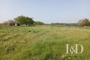 Picture of listing #331017004. Land for sale in Saint-Sérotin