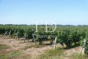 Picture of listing #331021985. Land for sale in Châteaumeillant