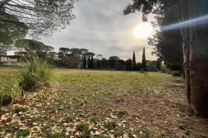 Picture of listing #331068959. Land for sale in Vidauban