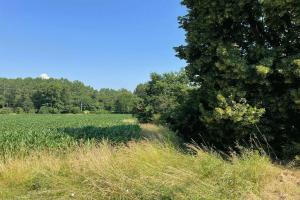 Picture of listing #331080934. Land for sale in Sainte-Euphémie