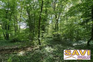 Picture of listing #331090181. Land for sale in Foucherolles