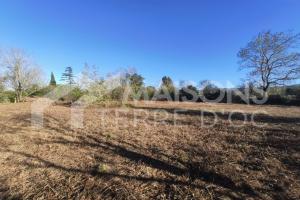 Picture of listing #331091139. Land for sale in Sorèze
