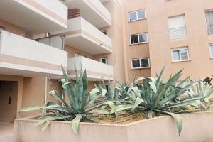 Picture of listing #331093828. Appartment for sale in Sarrola-Carcopino