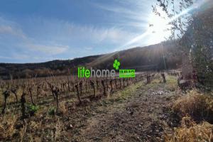 Picture of listing #331104680. Land for sale in Nébian