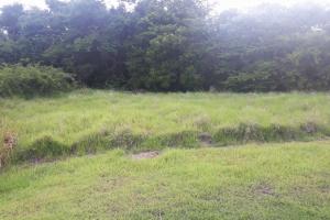 Picture of listing #331112337. Land for sale in Le Vauclin