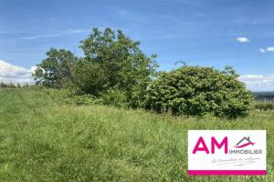 Picture of listing #331130950. Land for sale in Obermorschwihr