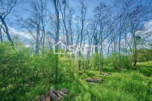 Picture of listing #331131025. Land for sale in Pulligny