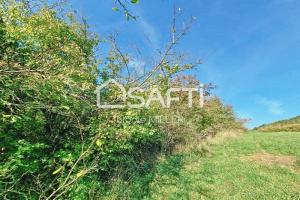 Picture of listing #331131087. Land for sale in Neuves-Maisons
