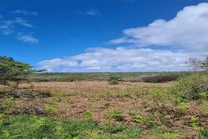 Picture of listing #331131569. Land for sale in Crozon