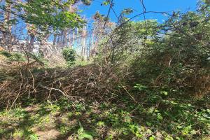 Picture of listing #331131579. Land for sale in Crozon