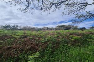 Picture of listing #331131584. Land for sale in Crozon