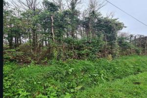Picture of listing #331131657. Land for sale in Crozon