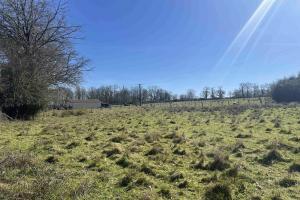 Picture of listing #331136678. Land for sale in Manot