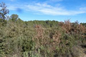 Picture of listing #331140253. Land for sale in Villecroze