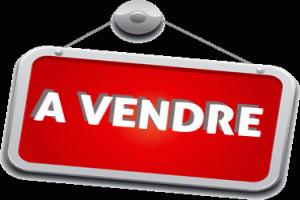 Photo de l'annonce nº 331149109. Commerce à vendre sur Bourg-Charente