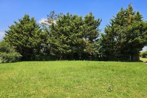 Picture of listing #331202549. Land for sale in Cormoranche-sur-Saône